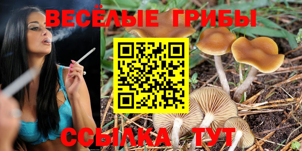 Галлюциногенные грибы Magic Shrooms Рязань