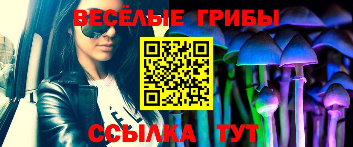 Псилоцибиновые грибы мухоморы  Вход с VPN  Рязань 